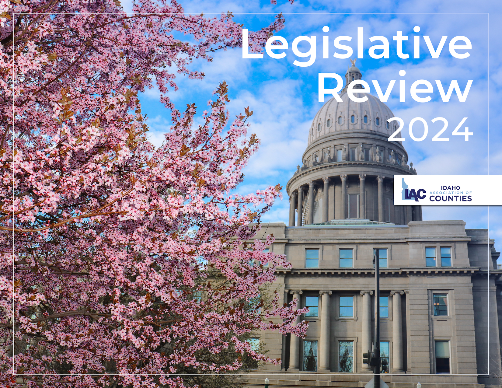 IAC Publishes 2024 Legislative Review