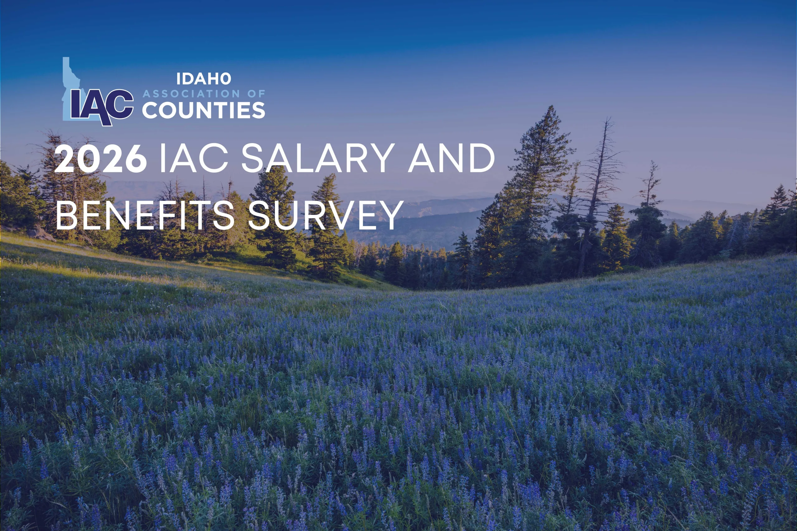Now Available: The 2026 IAC Salary and Benefits Survey