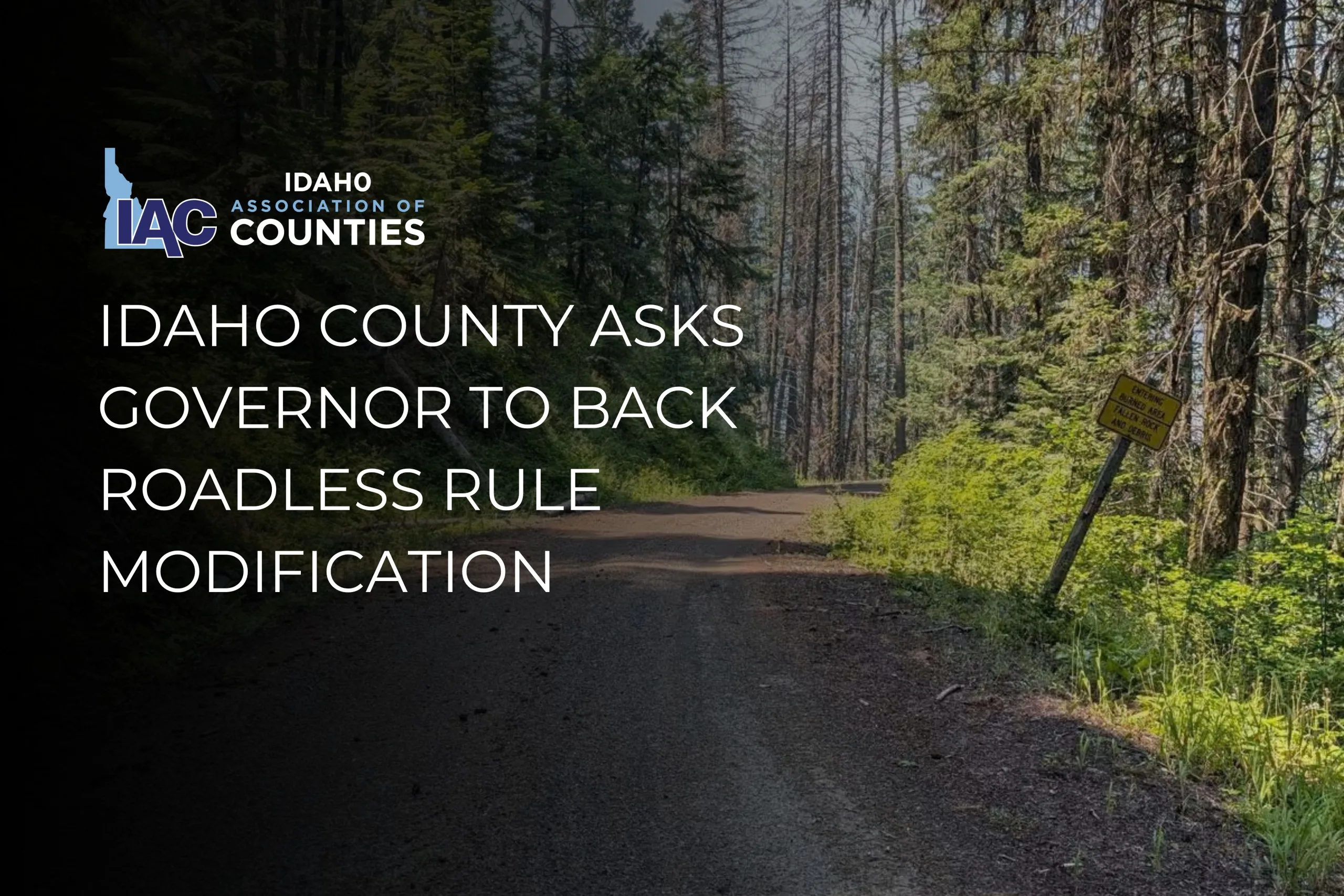 Idaho County Seeks Roadless Reclassification